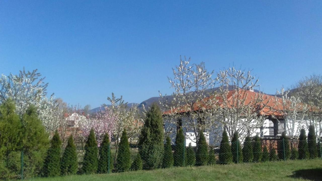 House Milovanovic Sokobanja Exterior foto