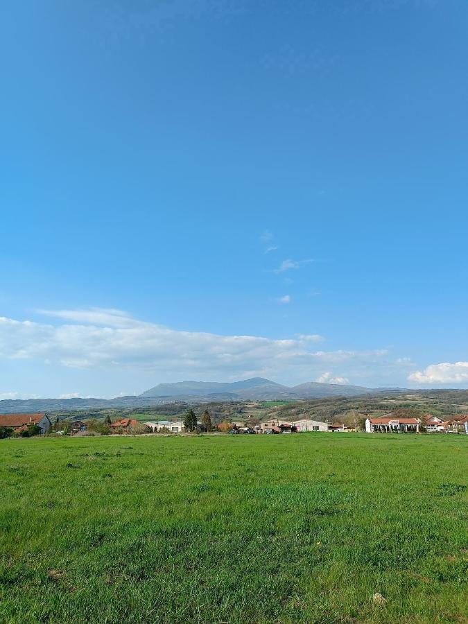 House Milovanovic Sokobanja Exterior foto